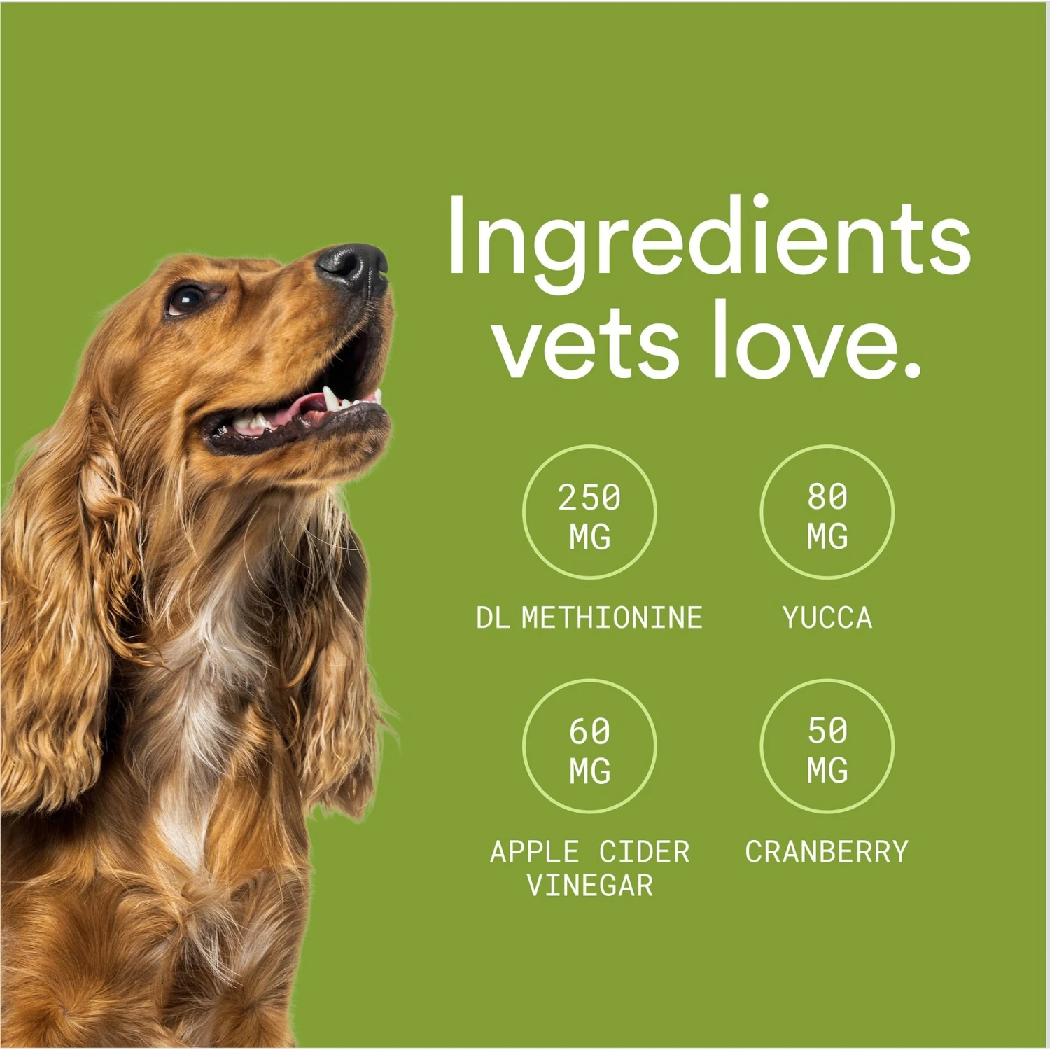 Foster Lawn Saver Chicken & Apple Flavored Soft Chews Dog Health Supplement, 90 Count 6 Foster Lawn Saver Chicken & Apple Flavored Soft Chews Dog Health Supplement, 90 Count - Image 6