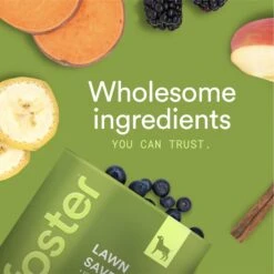 Foster Lawn Saver Chicken & Apple Flavored Soft Chews Dog Health Supplement, 90 Count 16 Foster Lawn Saver Chicken & Apple Flavored Soft Chews Dog Health Supplement, 90 Count -Pet Wellness 704078 PT7. AC SS1800 V1693496201