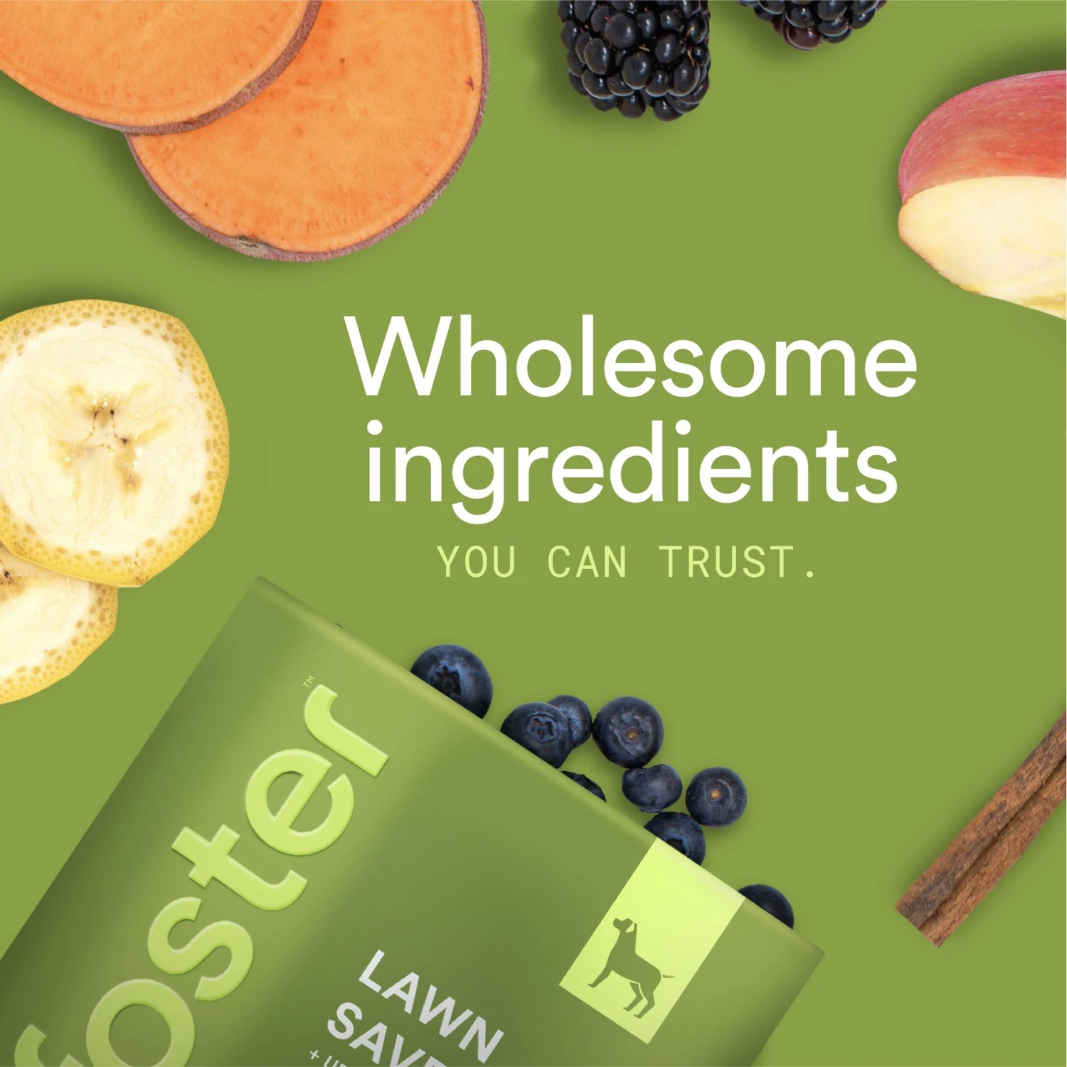 Foster Lawn Saver Chicken & Apple Flavored Soft Chews Dog Health Supplement, 90 Count 8 Foster Lawn Saver Chicken & Apple Flavored Soft Chews Dog Health Supplement, 90 Count - Image 8