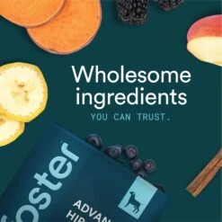 Foster Advanced Hip & Joint Banana & Apple Flavored Dog Health Supplement, 90 Count 16 Foster Advanced Hip & Joint Banana & Apple Flavored Dog Health Supplement, 90 Count -Pet Wellness 704094 PT7. AC SS1800 V1693495188