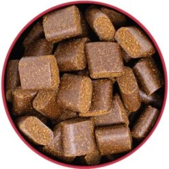 Foster Digestive Support + Probiotics Banana & Apple Flavored Soft Chews Dog Supplement, 90 Count 12 Foster Digestive Support + Probiotics Banana & Apple Flavored Soft Chews Dog Supplement, 90 Count -Pet Wellness 704110 PT3. AC SS1800 V1693491881