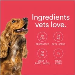 Foster Digestive Support + Probiotics Banana & Apple Flavored Soft Chews Dog Supplement, 90 Count 14 Foster Digestive Support + Probiotics Banana & Apple Flavored Soft Chews Dog Supplement, 90 Count -Pet Wellness 704110 PT5. AC SS1800 V1693496080