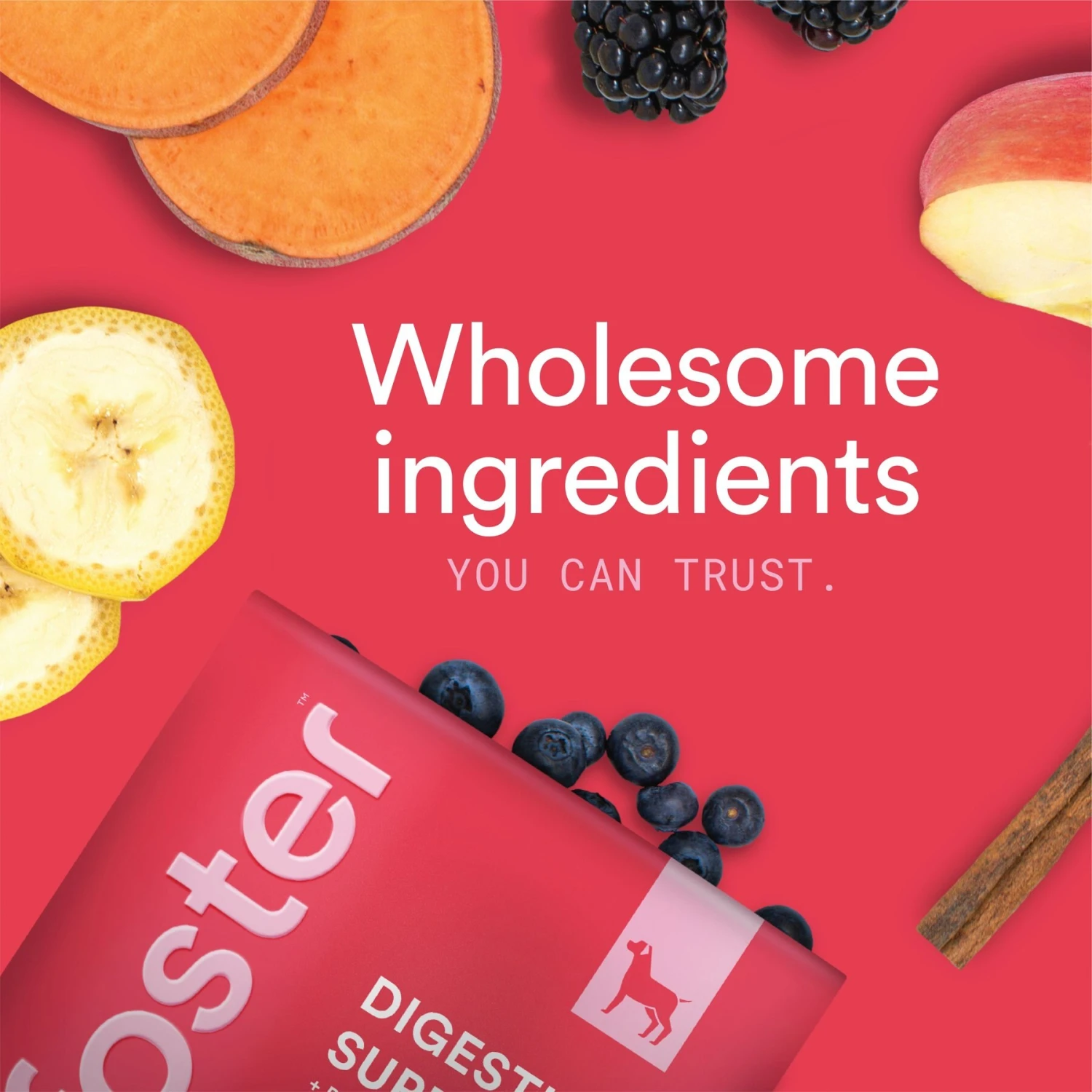 Foster Digestive Support + Probiotics Banana & Apple Flavored Soft Chews Dog Supplement, 90 Count 8 Foster Digestive Support + Probiotics Banana & Apple Flavored Soft Chews Dog Supplement, 90 Count - Image 8