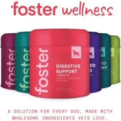 Foster Digestive Support + Probiotics Banana & Apple Flavored Soft Chews Dog Supplement, 90 Count 17 Foster Digestive Support + Probiotics Banana & Apple Flavored Soft Chews Dog Supplement, 90 Count -Pet Wellness 704110 PT8. AC SS1800 V1693491394