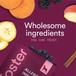 Foster Allergy & Immunity Banana & Apple Flavored Dog Supplement, 90 Count -Pet Wellness 704126 PT7. AC SS1800 V1693496200