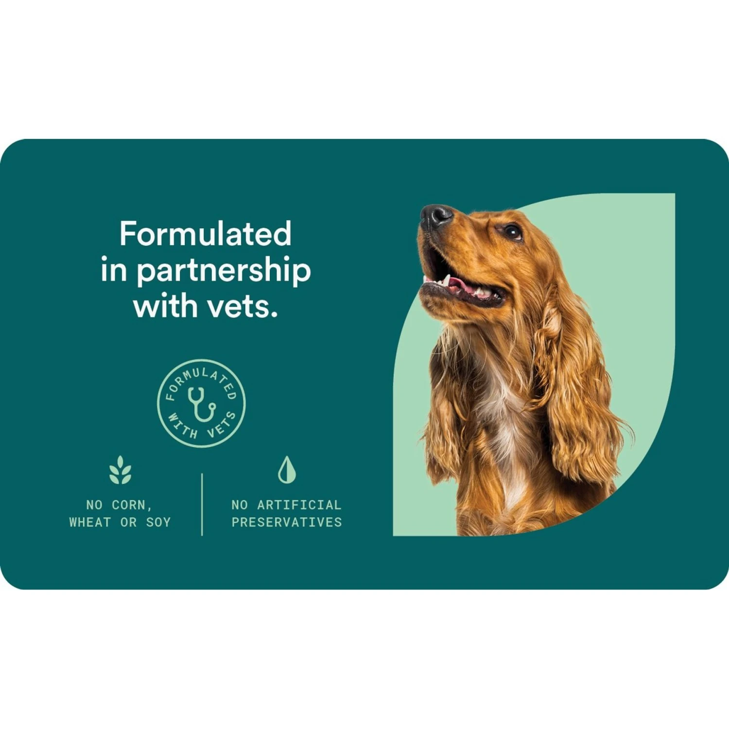 Foster 8-in-1 Multivitamin Beef & Apple Flavored Soft Chews Dog Supplement, 90 Count 4 Foster 8-in-1 Multivitamin Beef & Apple Flavored Soft Chews Dog Supplement, 90 Count - Image 4