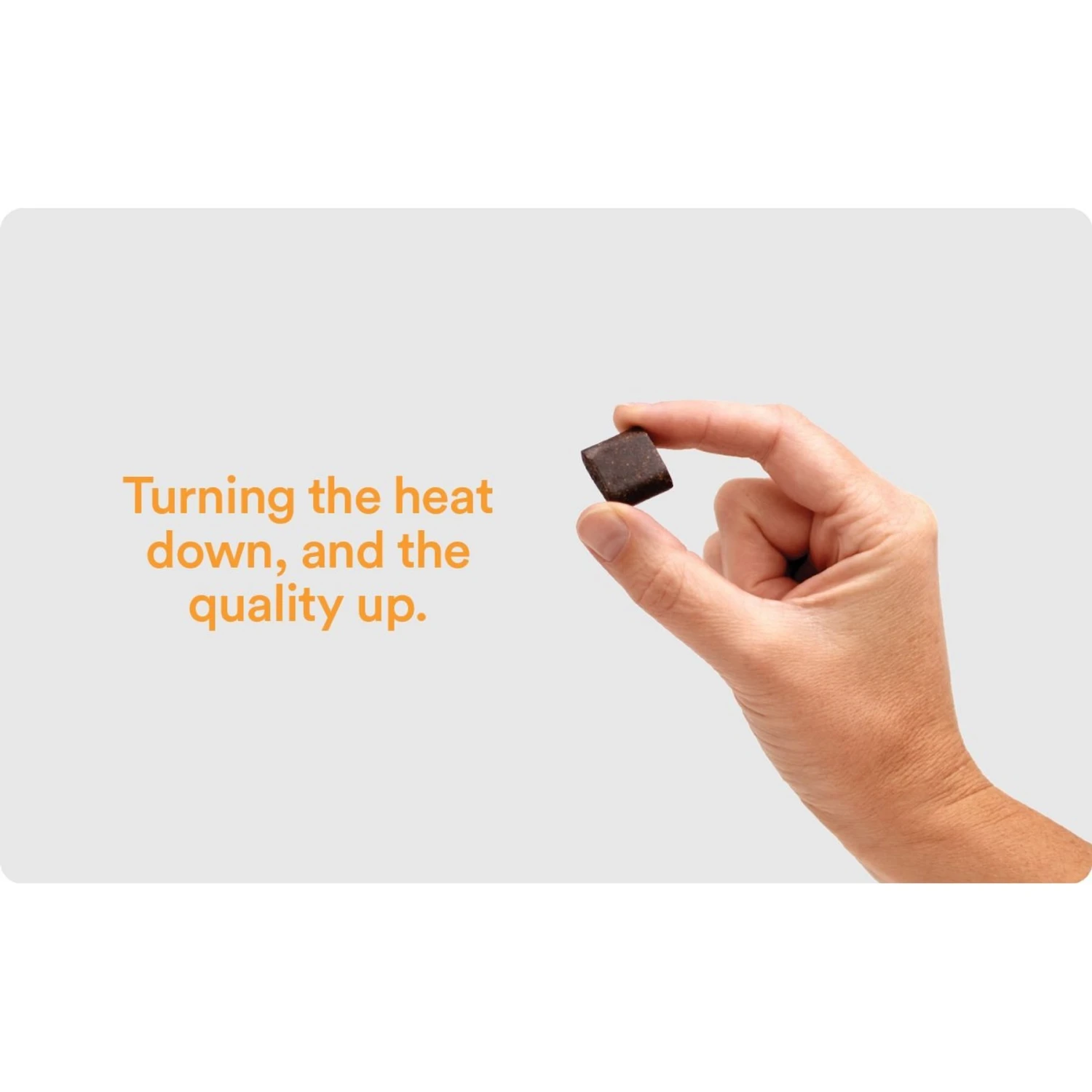 Foster 8-in-1 Multivitamin Beef & Apple Flavored Soft Chews Dog Supplement, 90 Count 6 Foster 8-in-1 Multivitamin Beef & Apple Flavored Soft Chews Dog Supplement, 90 Count - Image 6