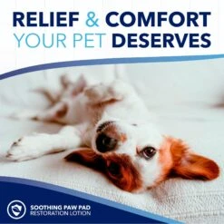 TropiClean OxyMed Soothing Paw Balm With Shea Butter Dog & Cat Cream, 4-oz Bottle 15 TropiClean OxyMed Soothing Paw Balm With Shea Butter Dog & Cat Cream, 4-oz Bottle -Pet Wellness 704262 PT6. AC SS1800 V1671551852