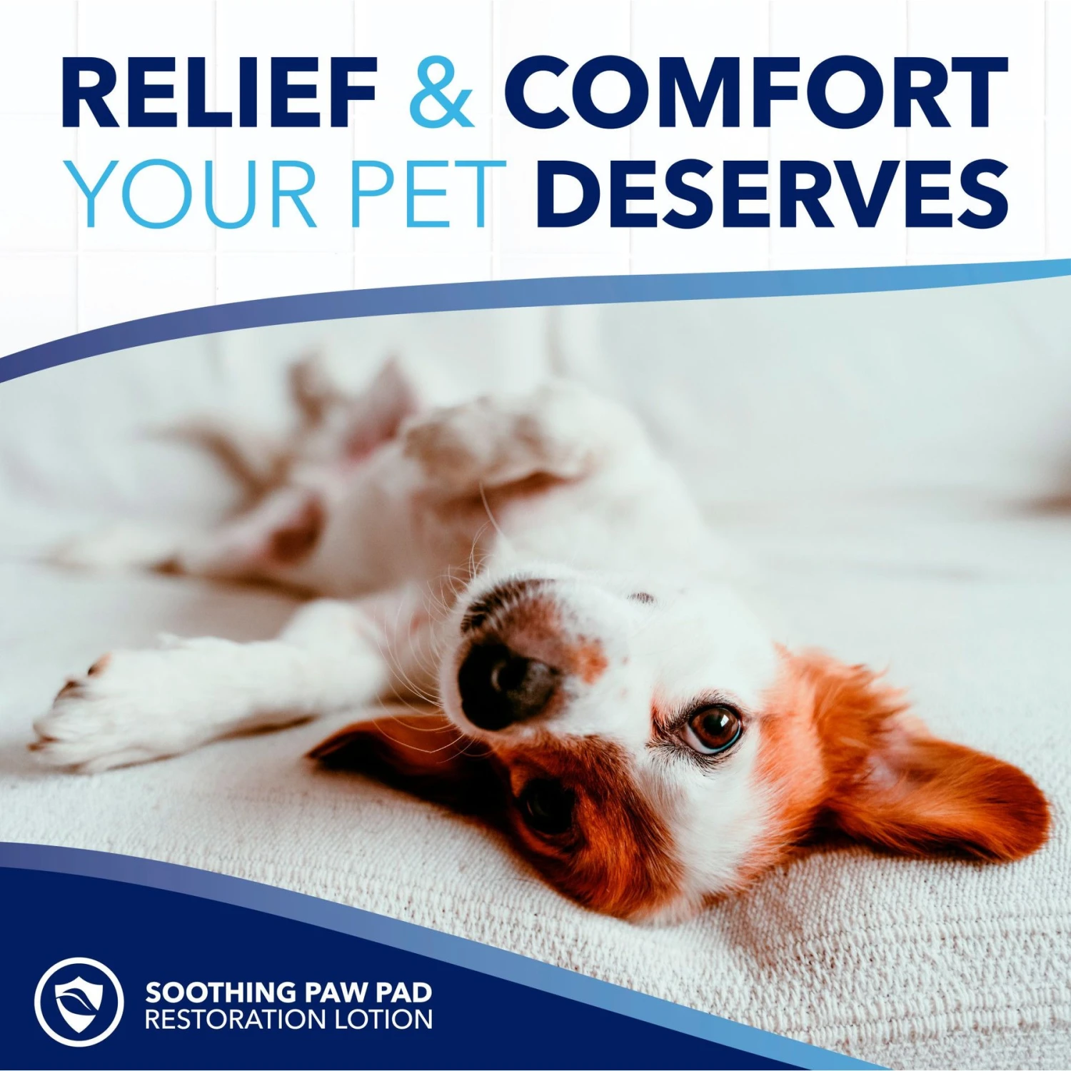 TropiClean OxyMed Soothing Paw Balm With Shea Butter Dog & Cat Cream, 4-oz Bottle 7 TropiClean OxyMed Soothing Paw Balm With Shea Butter Dog & Cat Cream, 4-oz Bottle - Image 7