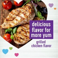 Wellness Move Hip & Joint Chicken Flavor Chew Supplements For Dogs -Pet Wellness 704310 PT2. AC SS1800 V1671648819