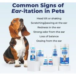 Vetnique Labs Oticbliss Ear Drops Medicated For Ear Infections For Dogs & Cats, 1.8-oz Bottle 17 Vetnique Labs Oticbliss Ear Drops Medicated For Ear Infections For Dogs & Cats, 1.8-oz Bottle -Pet Wellness 704590 PT8. AC SS1800 V1703276439