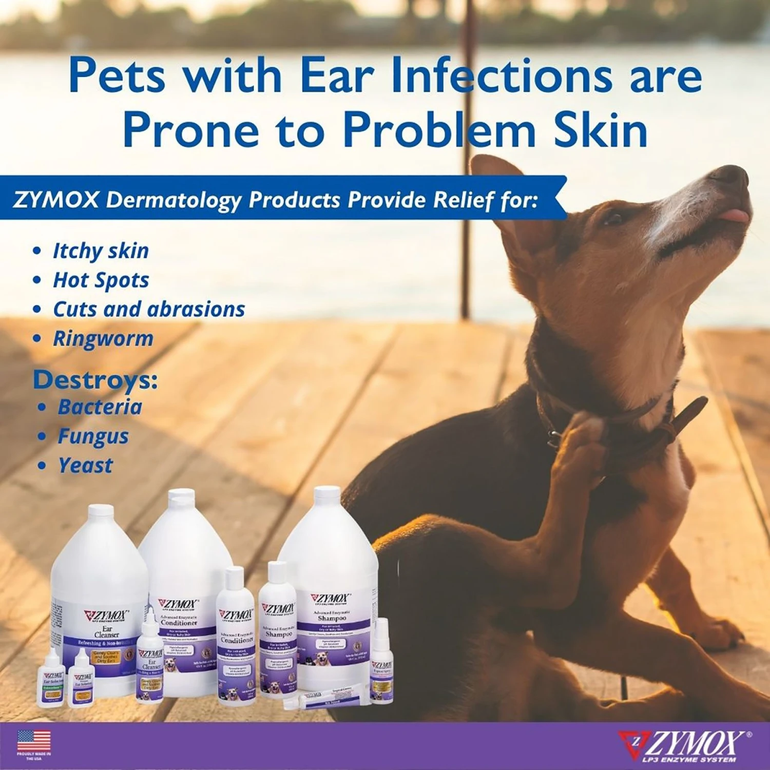 Zymox Advanced Enzymatic Oatmeal Cat & Dog Shampoo 8 Zymox Advanced Enzymatic Oatmeal Cat & Dog Shampoo - Image 8