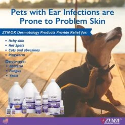 Zymox Advanced Enzymatic Oatmeal Cat & Dog Conditioner -Pet Wellness 705406 PT6. AC SS1800 V1671721067