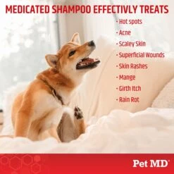 Pet MD Antiseptic & Antifungal Medicated Shampoo, 8-oz Bottle 8 Pet MD Antiseptic & Antifungal Medicated Shampoo, 8-oz Bottle -Pet Wellness 714174 PT2. AC SS1800 V1668628225