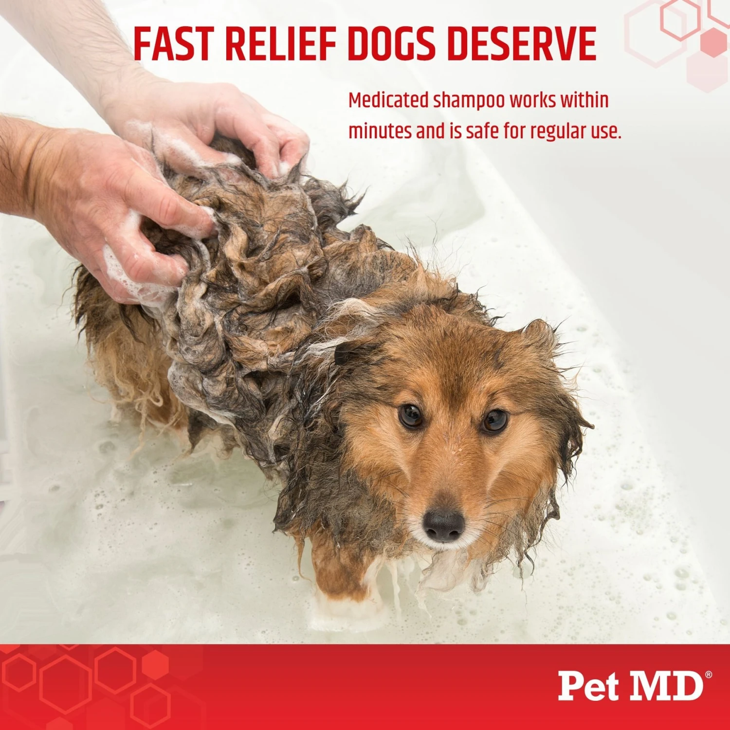 Pet MD Antiseptic & Antifungal Medicated Shampoo, 8-oz Bottle 4 Pet MD Antiseptic & Antifungal Medicated Shampoo, 8-oz Bottle - Image 4