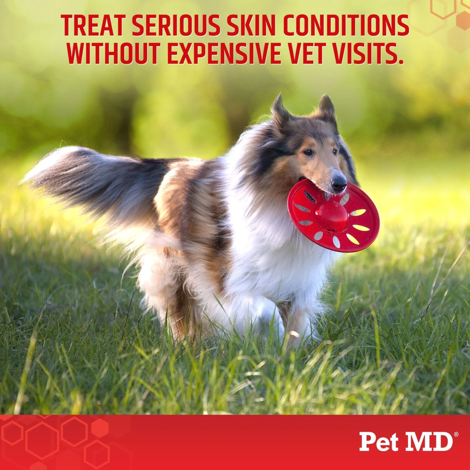 Pet MD Antiseptic & Antifungal Medicated Shampoo, 8-oz Bottle 5 Pet MD Antiseptic & Antifungal Medicated Shampoo, 8-oz Bottle - Image 5