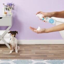 Nootie Sweet Pea & Vanilla Foaming For Puppies Tearless Formula Dog Shampoo -Pet Wellness 71609 PT3. AC SS1800 V1543009405