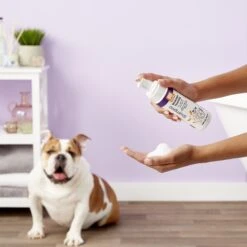 Nootie Soft Lilly Passion Waterless Foaming Formula Dog Shampoo -Pet Wellness 71832 PT3. AC SS1800 V1543009640