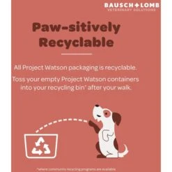 Project Watson Eye Health Salmon & Carrot Flavored Soft Chew Supplement For Dogs, 60 Count -Pet Wellness 727982 PT5. AC SS1800 V1670515418