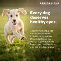 Project Watson Eye Health Salmon & Carrot Flavored Soft Chew Supplement For Dogs, 60 Count -Pet Wellness 727982 PT8. AC SS1800 V1670508752