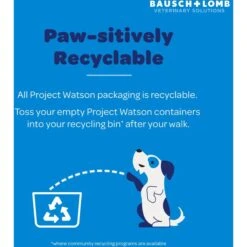 Project Watson Eye & Multi Health Pumpkin & Carrot Flavored Soft Chew Supplement For Dogs, 60 Count -Pet Wellness 727998 PT5. AC SS1800 V1670512761