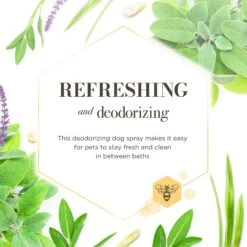 Burt's Bees Sage & Lemongrass Scented Dog Deodorizing Spray, 8-oz Bottle -Pet Wellness 730039 PT2. AC SS1800 V1676751521