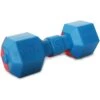 Pet Life Dumbbell Durable Water Floating Chew & Fetch Dog Toy