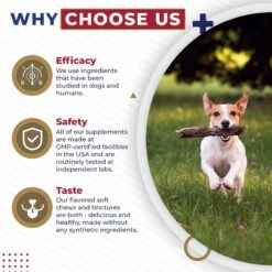 Pet Health Pharma Cardio Heart Health Chicken Flavored Tablets Supplements For Cats & Dogs, 120 Count 14 Pet Health Pharma Cardio Heart Health Chicken Flavored Tablets Supplements For Cats & Dogs, 120 Count -Pet Wellness 732846 PT5. AC SS1800 V1685489039