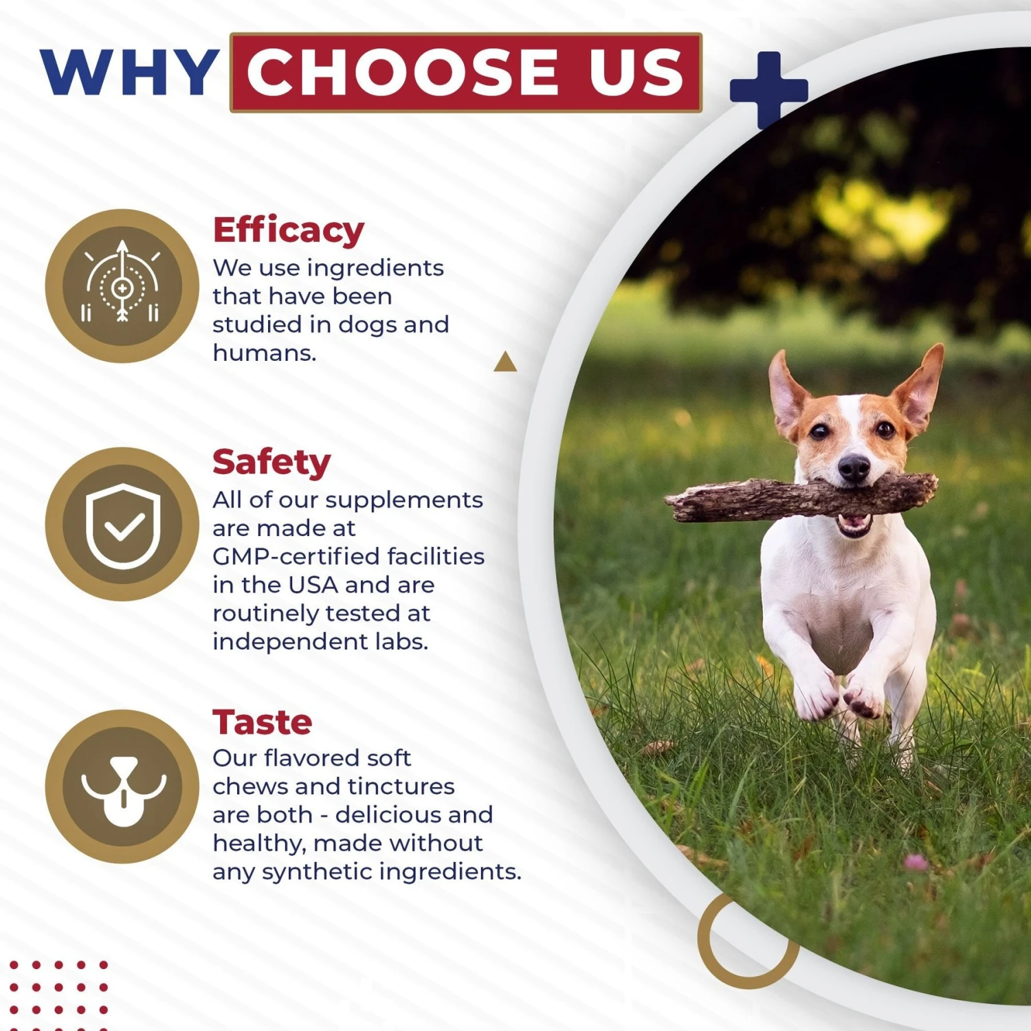 Pet Health Pharma Cardio Heart Health Chicken Flavored Tablets Supplements For Cats & Dogs, 120 Count 6 Pet Health Pharma Cardio Heart Health Chicken Flavored Tablets Supplements For Cats & Dogs, 120 Count - Image 6