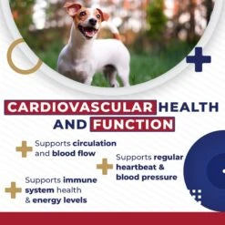 Pet Health Pharma Cardio Heart Health Chicken Flavored Tablets Supplements For Cats & Dogs, 120 Count 15 Pet Health Pharma Cardio Heart Health Chicken Flavored Tablets Supplements For Cats & Dogs, 120 Count -Pet Wellness 732846 PT6. AC SS1800 V1685491030