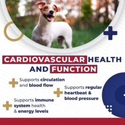 Pet Health Pharma Cardio Heart Health Chicken Flavored Tablets Supplements For Cats & Dogs, 120 Count 17 Pet Health Pharma Cardio Heart Health Chicken Flavored Tablets Supplements For Cats & Dogs, 120 Count -Pet Wellness 732846 PT8. AC SS1800 V1680808728