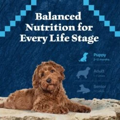 Blue Buffalo Wilderness Puppy High Protein Natural Chicken & Wholesome Grains Dry Dog Food -Pet Wellness 733510 PT7. AC SS1800 V1694550813