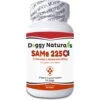 Pet Health Pharma SAM-e 225-mg SAMeLQ Liver Support Dog Supplement, 60 Count