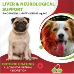 Pet Health Pharma SAM-e 225-mg SAMeLQ Liver Support Dog Supplement, 60 Count 15 Pet Health Pharma SAM-e 225-mg SAMeLQ Liver Support Dog Supplement, 60 Count -Pet Wellness 734710 PT6. AC SS1800 V1677265034