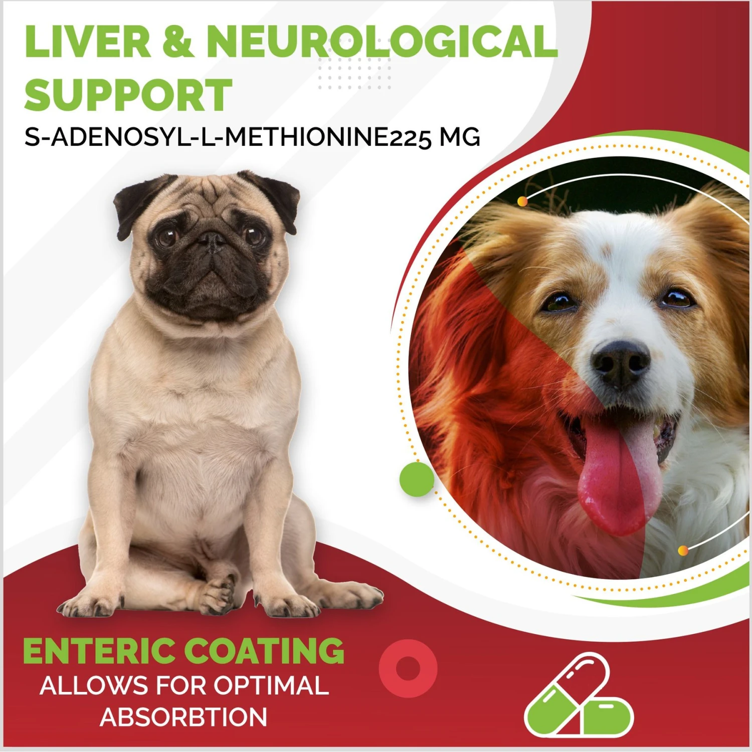 Pet Health Pharma SAM-e 225-mg SAMeLQ Liver Support Dog Supplement, 60 Count 7 Pet Health Pharma SAM-e 225-mg SAMeLQ Liver Support Dog Supplement, 60 Count - Image 7