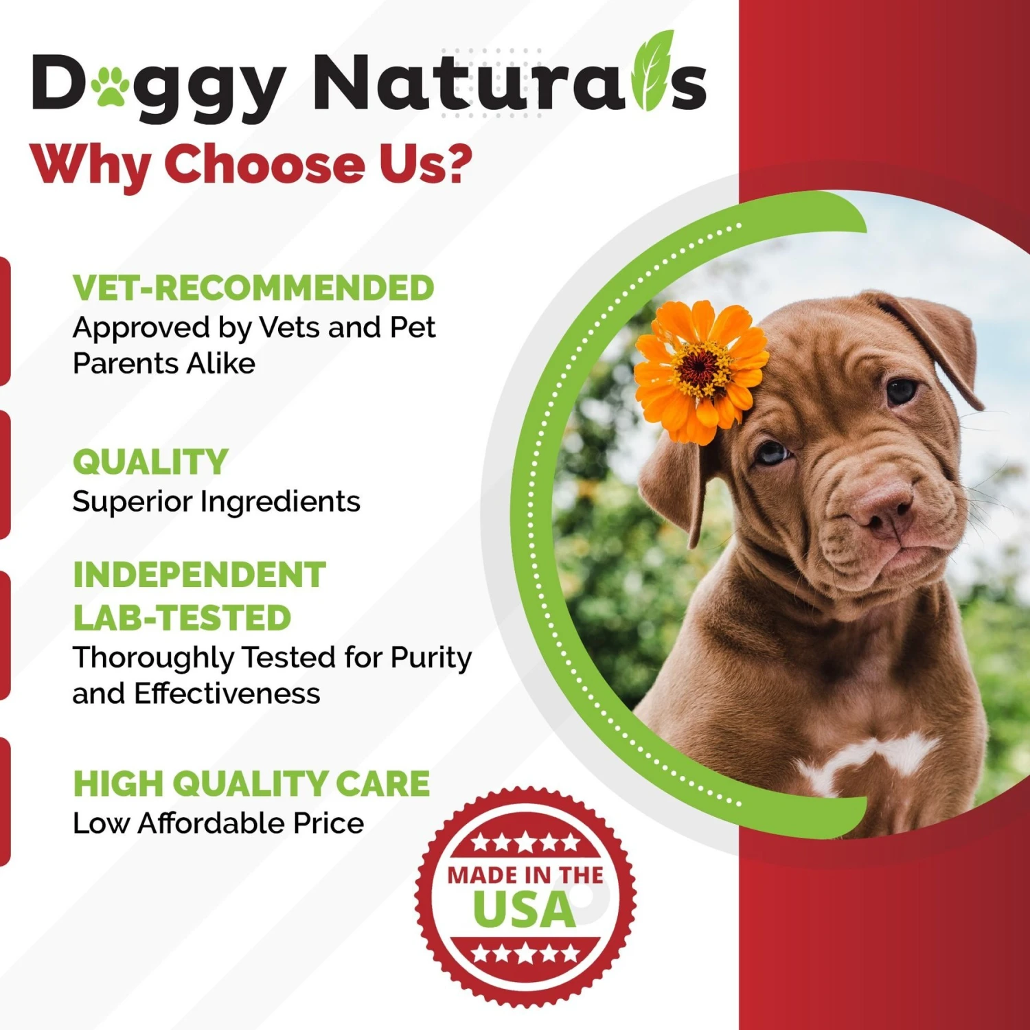 Pet Health Pharma SAM-e 225-mg SAMeLQ Liver Support Dog Supplement, 60 Count 8 Pet Health Pharma SAM-e 225-mg SAMeLQ Liver Support Dog Supplement, 60 Count - Image 8