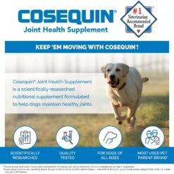Nutramax Cosequin With Glucosamine & Chondroitin DS Chewable Tablets Joint Supplement For Dogs -Pet Wellness 73540 PT3. AC SS1800 V1624288360