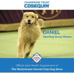 Nutramax Cosequin With Glucosamine & Chondroitin DS Chewable Tablets Joint Supplement For Dogs -Pet Wellness 73540 PT5. AC SS1800 V1624288098