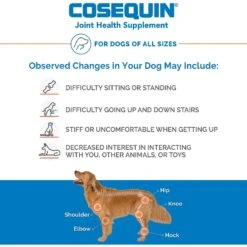 Nutramax Cosequin With Glucosamine & Chondroitin DS Capsule Joint Supplement For Dogs -Pet Wellness 73545 PT4. AC SS1800 V1624287183