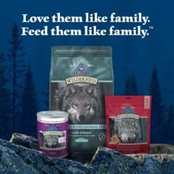 Blue Buffalo Wilderness Large Breed Adult High Protein Natural Salmon & Wholesome Grains Dry Dog Food, 28-lb Bag 17 Blue Buffalo Wilderness Large Breed Adult High Protein Natural Salmon & Wholesome Grains Dry Dog Food, 28-lb Bag -Pet Wellness 735518 PT8. AC SS1800 V1694547090