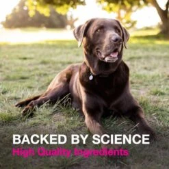 Nutramax Proviable Paste & Capsules Digestive Supplement Kit -Pet Wellness 73560 PT3. AC SS1800 V1672761168