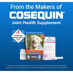 Nutramax Proviable Paste & Capsules Digestive Supplement Kit -Pet Wellness 73560 PT8. AC SS1800 V1672761167