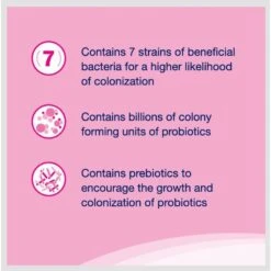 Nutramax Proviable Probiotics & Prebiotics Capsules Digestive Supplement For Cats & Dogs 11 Nutramax Proviable Probiotics & Prebiotics Capsules Digestive Supplement For Cats & Dogs -Pet Wellness 73562 PT2. AC SS1800 V1672764528