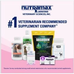 Nutramax Proviable Probiotics & Prebiotics Capsules Digestive Supplement For Cats & Dogs 16 Nutramax Proviable Probiotics & Prebiotics Capsules Digestive Supplement For Cats & Dogs -Pet Wellness 73562 PT7. AC SS1800 V1672764525