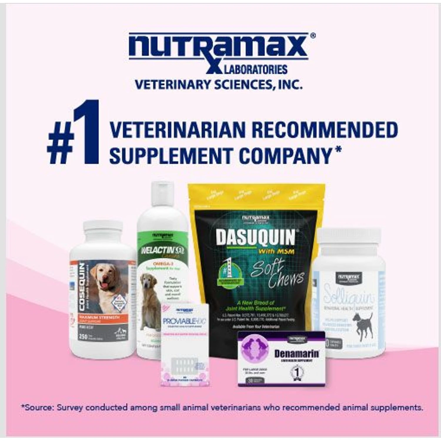 Nutramax Proviable Probiotics & Prebiotics Capsules Digestive Supplement For Cats & Dogs 8 Nutramax Proviable Probiotics & Prebiotics Capsules Digestive Supplement For Cats & Dogs - Image 8