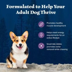 Blue Buffalo Wilderness Adult Small Bite High Protein Natural Chicken & Wholesome Grains Dry Dog Food -Pet Wellness 735670 PT3. AC SS1800 V1694548888