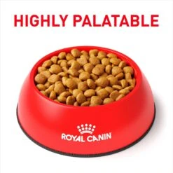 Royal Canin Veterinary Diet Adult Mature Consult Medium Breed Dry Dog Food -Pet Wellness 73706 PT2. AC SS1800 V1694463361