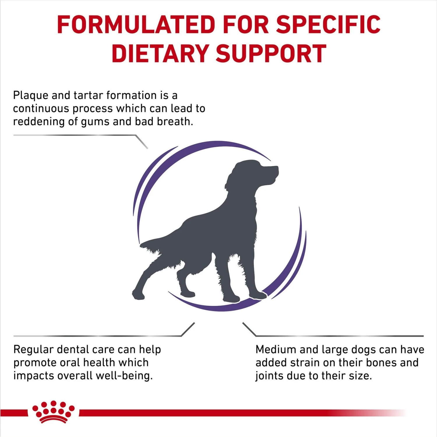 Royal Canin Veterinary Diet Adult Dental Medium & Large Breed Dry Dog Food 3 Royal Canin Veterinary Diet Adult Dental Medium & Large Breed Dry Dog Food - Image 3