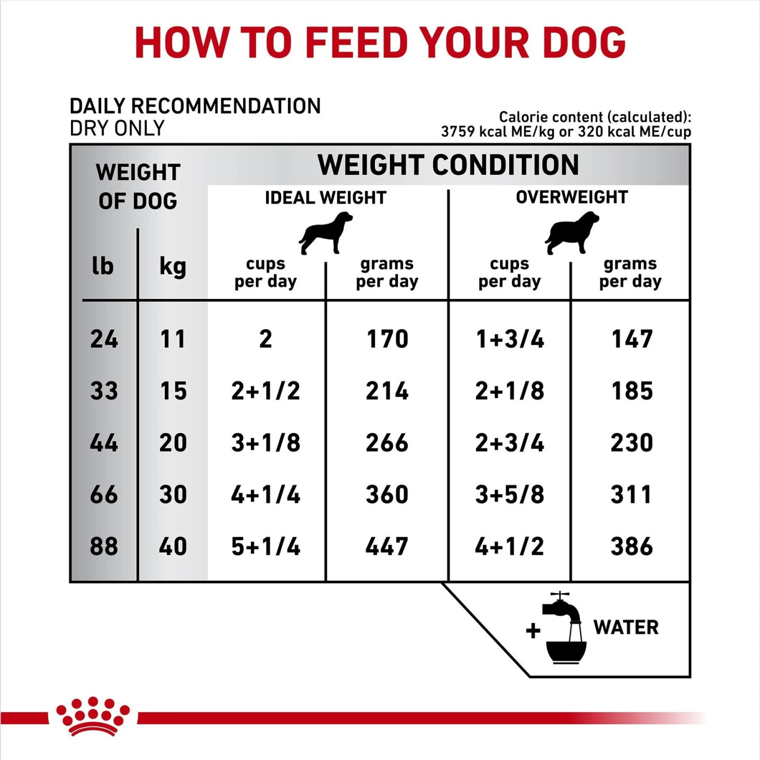 Royal Canin Veterinary Diet Adult Dental Medium & Large Breed Dry Dog Food 7 Royal Canin Veterinary Diet Adult Dental Medium & Large Breed Dry Dog Food - Image 7