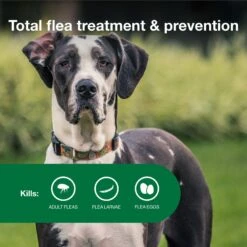 Advantage II Flea Spot Treatment For Dogs, Over 55 Lbs -Pet Wellness 73929 PT3. AC SS1800 V1680188113